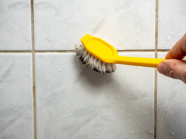 Best Black Mold Removal  in Zebulon, GA
