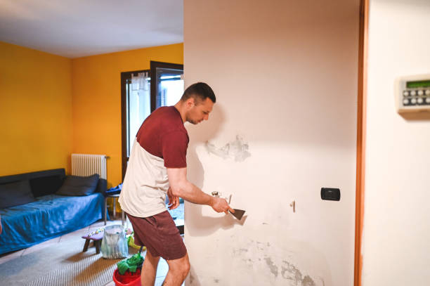 Best Commercial Mold Removal  in Zebulon, GA