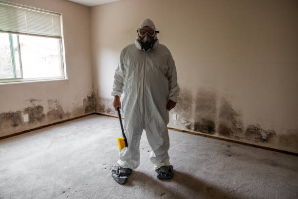 Crawl Space Mold Removal in Zebulon, GA